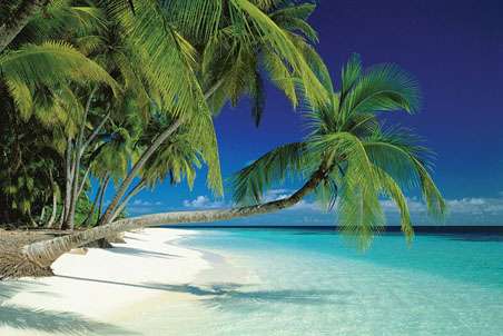 photo of a tropical beach