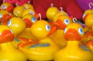 photo of ducks
