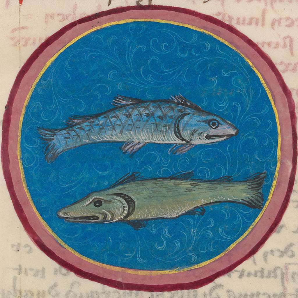 Pisces.15th century