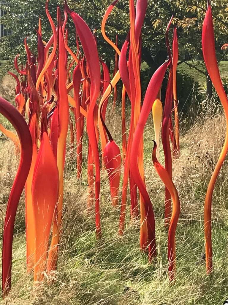 Chihuly Aries