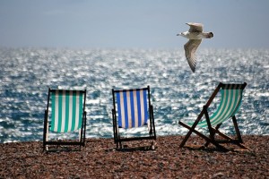 Deckchairs and Seagull