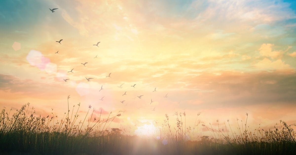 Sagittarius Horoscope April 2026 – Sally Kirkman