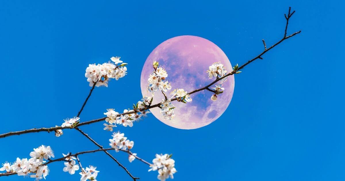 Leo Horoscope May 2026 – Sally Kirkman