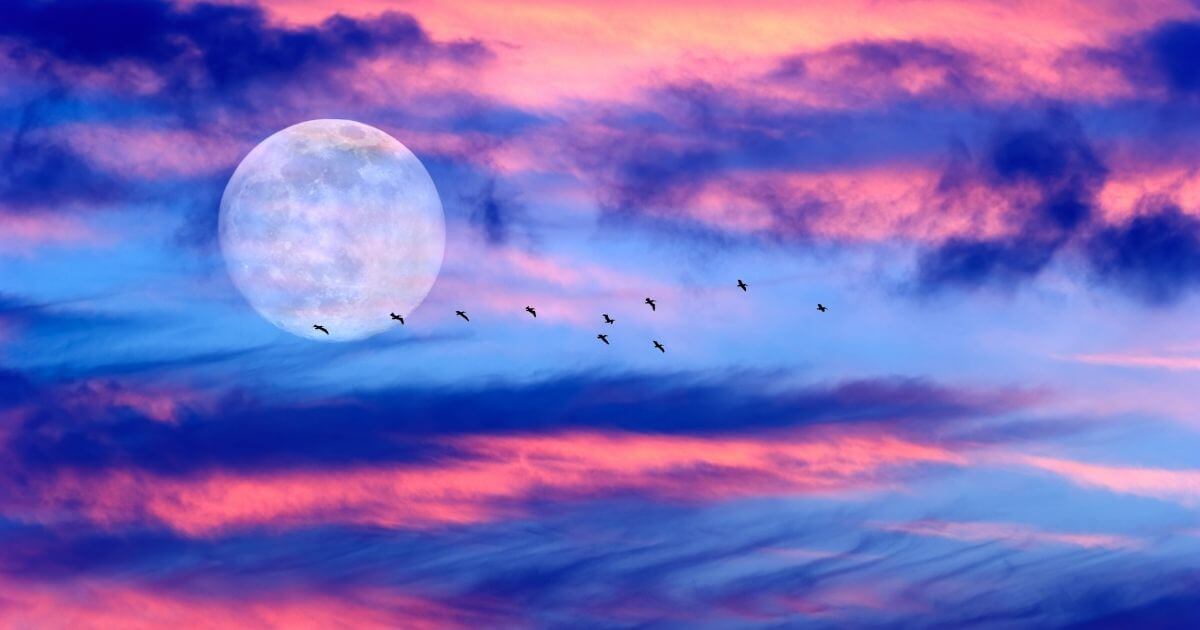 Sagittarius Horoscope May 2026 – Sally Kirkman